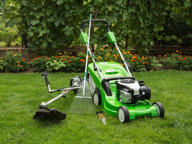 🌟 Plan Semilla – Tu jardín, siempre verde