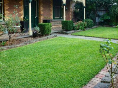 Plan Bosque – El jardín como lo sueñas