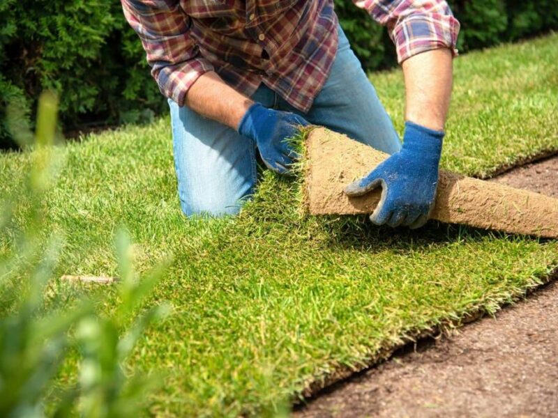 Jardín con Garantía Viva – Instalación + 3 meses protegidos