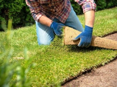 🌱 Servicio de Instalación de Pasto Natural - Pasto Super Polo x m2