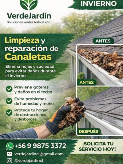 Limpieza y Reparación de Canaletas