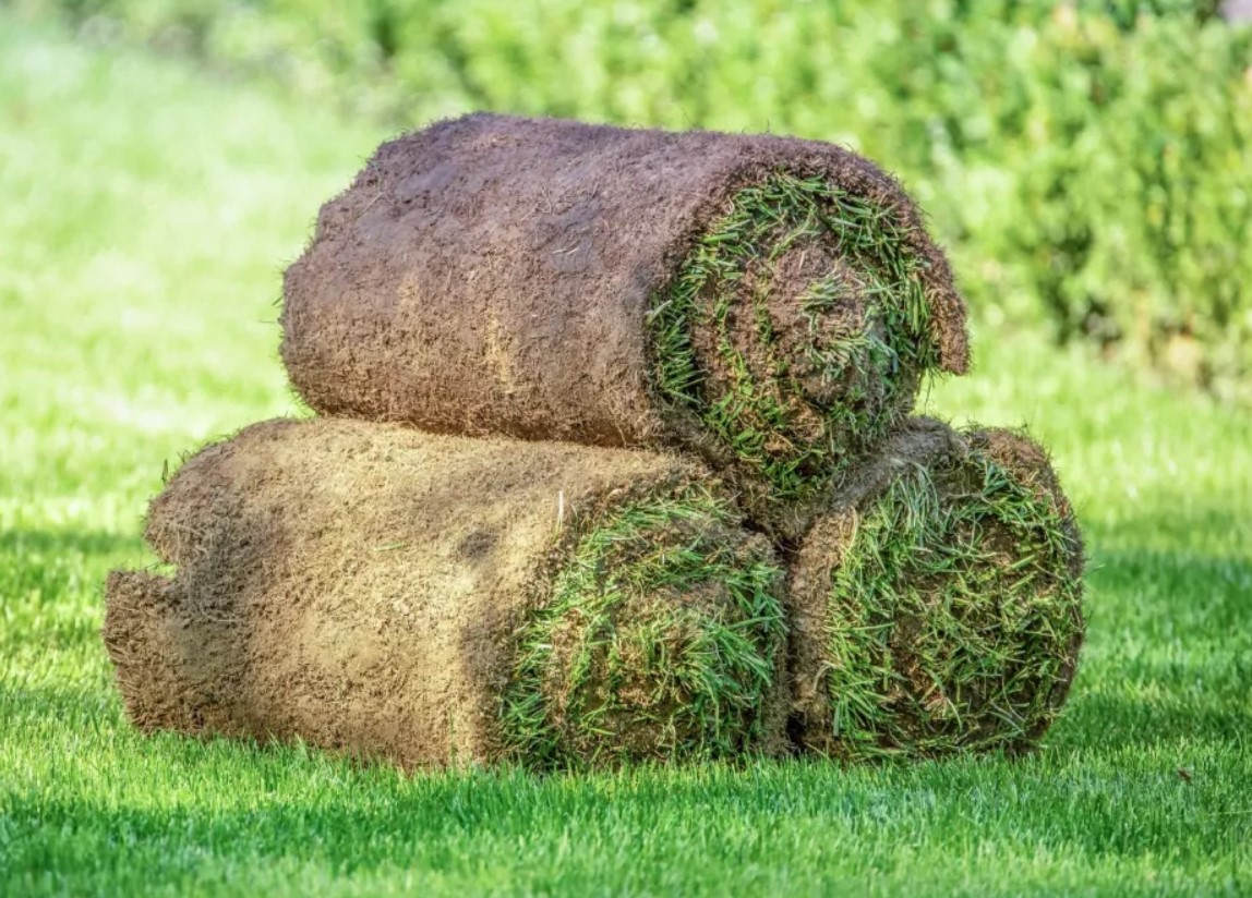 ¡Pasto Natural en Rollo Semilla Super Polo 1m² - Concepción y sus alrededores!